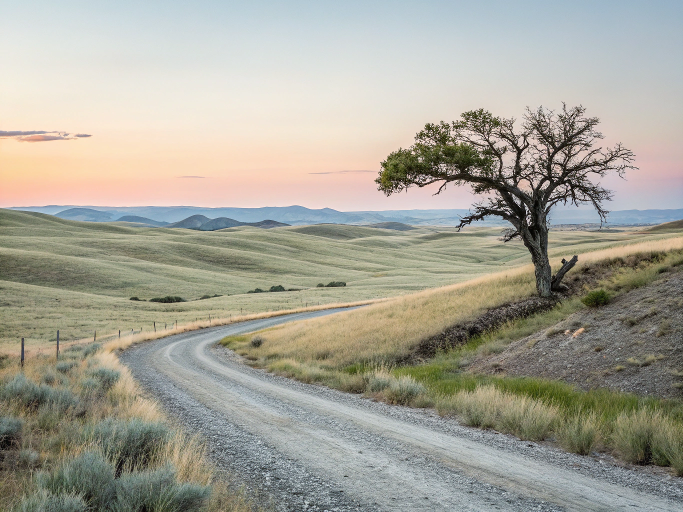 Welcoming Mexican landscape